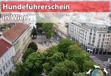 Hundeführerschein Wien