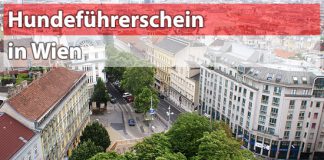 Hundeführerschein Wien