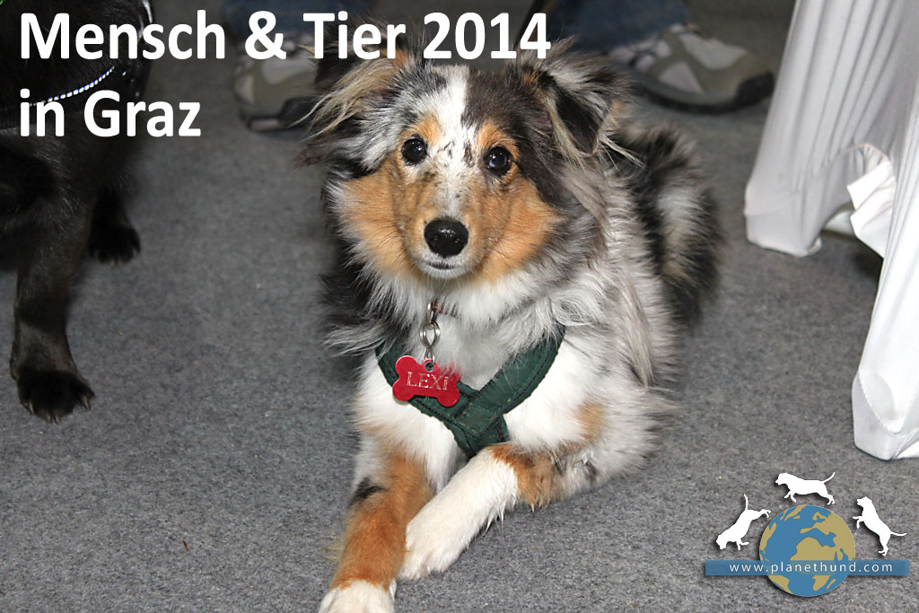 Mensch & Tier 2014: Tiermesse vom 11. bis 12. Oktober in Graz
