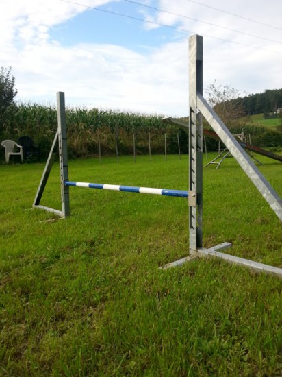 Hürde Agility