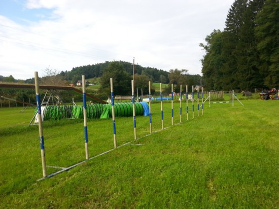 Slalom Agility Hunde