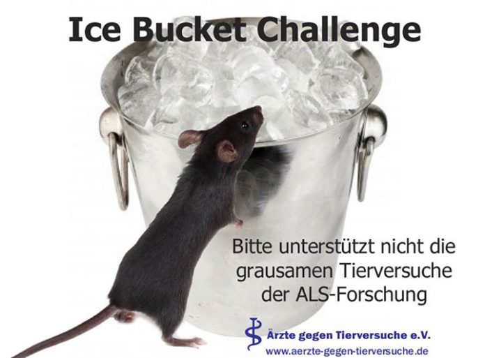 Gegen Ice Bucket Challenge