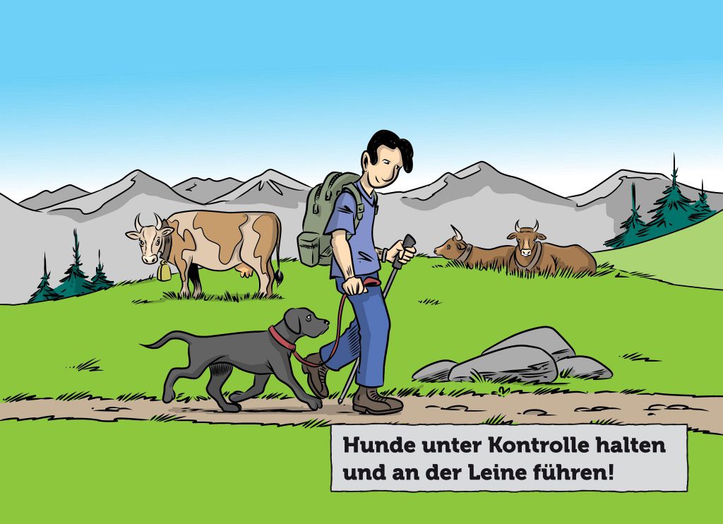 wandern hund weidetiere