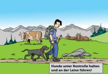 wandern-hund-alm-ratgeber-2