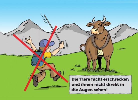 Ratgeber Verhalten Alm