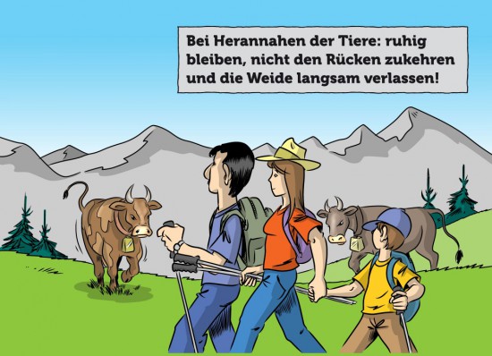Ratgeber Sicherheit Wandern Hund