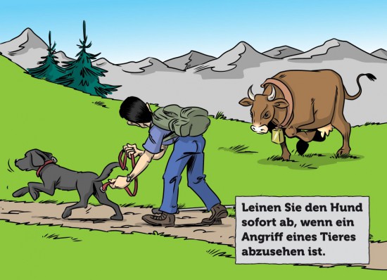 Konfrontation Kuh Stier mit Hund