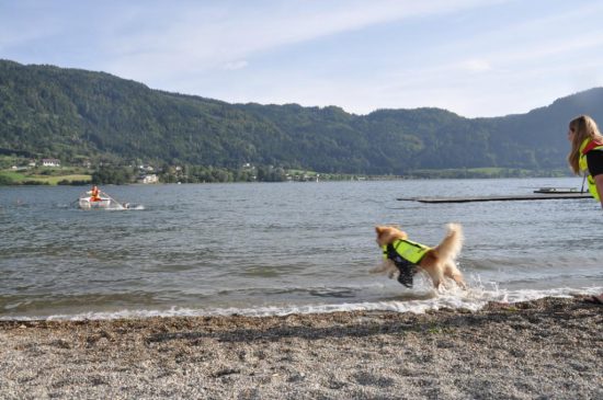 Hund Strand See