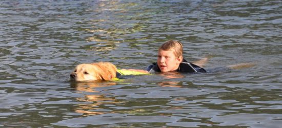 Golden Retriever Wasserrettung