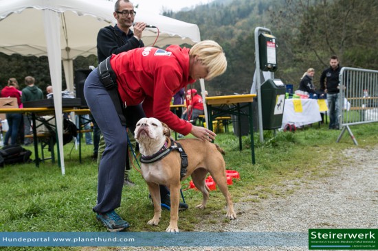 Hund Sabine Struckl