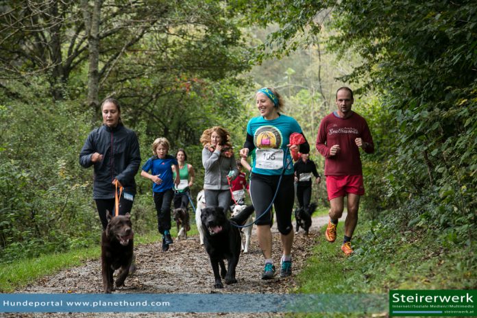 Hundelauf Hundesport