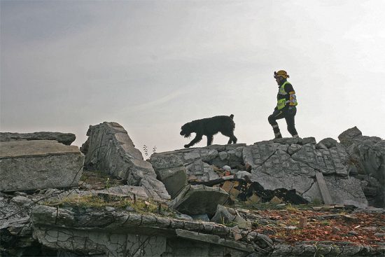 Italienischer Teilnehmer Michele Cesarini Sforza mit Riesenschnauzer ‚Zagor‘ auf einem Trümmerkegel