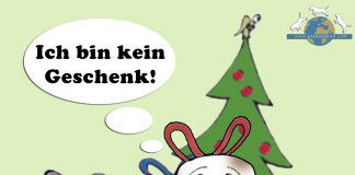 Tiere Weihnachten Geschenk