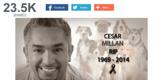 cesar-millan-fake-gestorben