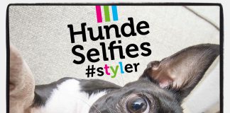Hunde Selfies Hundebuch