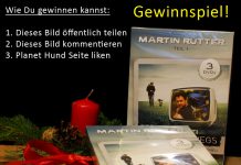 Gewinnspiel DVD Martin Rütter