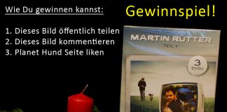 Gewinnspiel DVD Martin Rütter