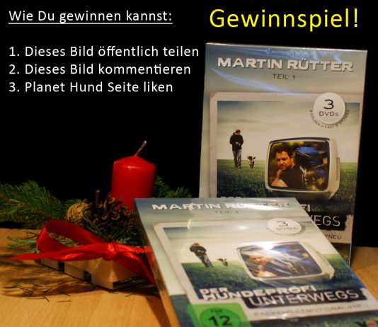 Gewinnspiel DVD Martin Rütter