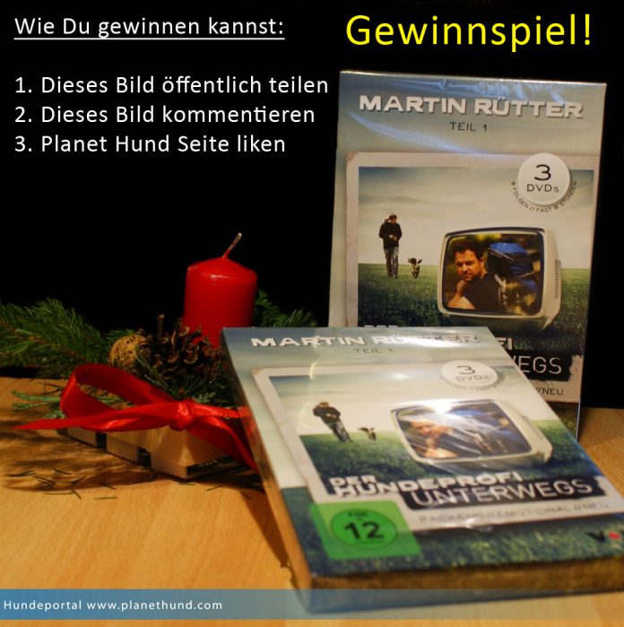 Gewinnspiel DVD Martin Rütter