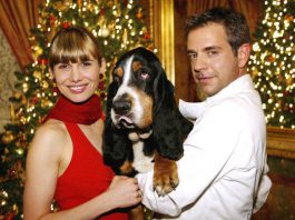 Weihnachtshund Film