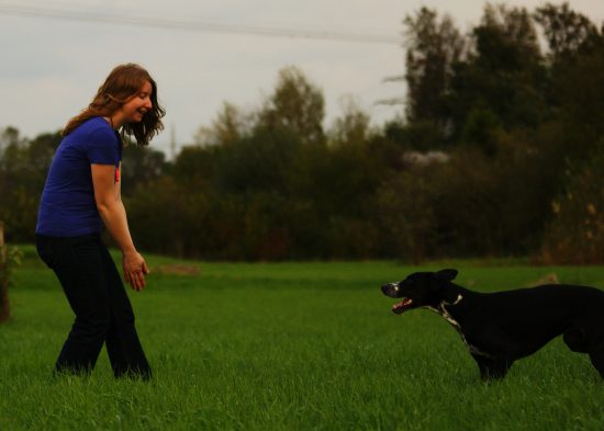 Körpersprache Sozialität Mensch Hund