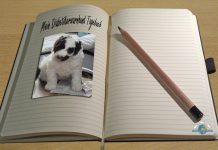 Diabetikerwarnhund Tagebuch