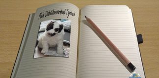 Diabetikerwarnhund Tagebuch