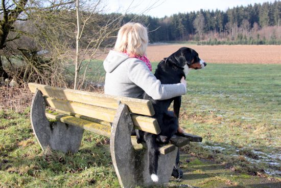 Hund Frau Bank