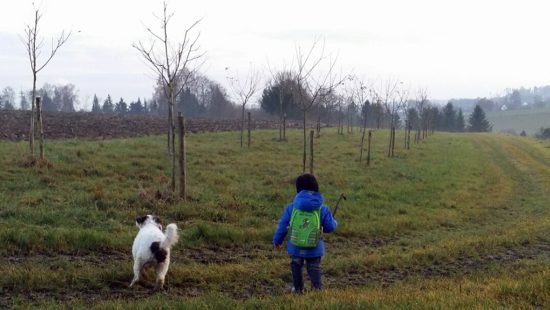 Hund Gino Spaziergang