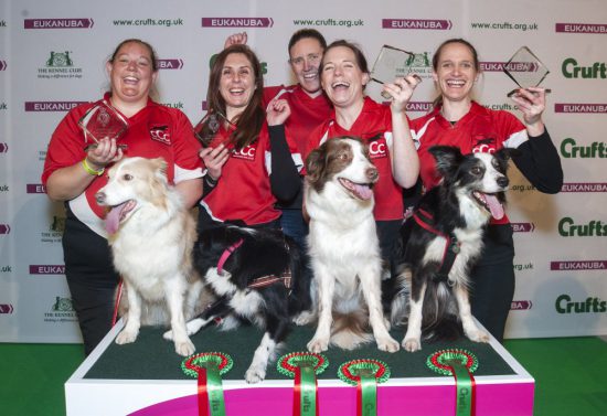 crufts-2015-agility-final-winners