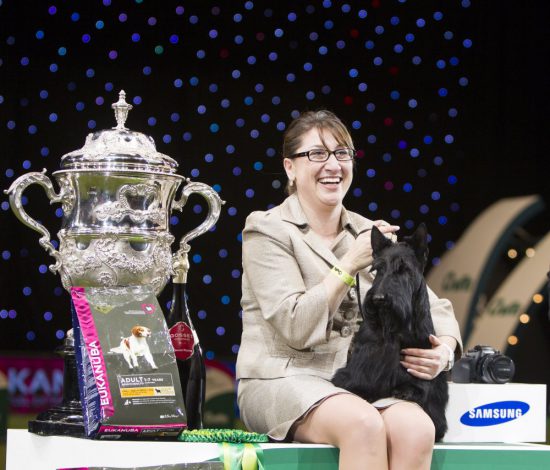 crufts 2015 best in show scottish terrier kanopa