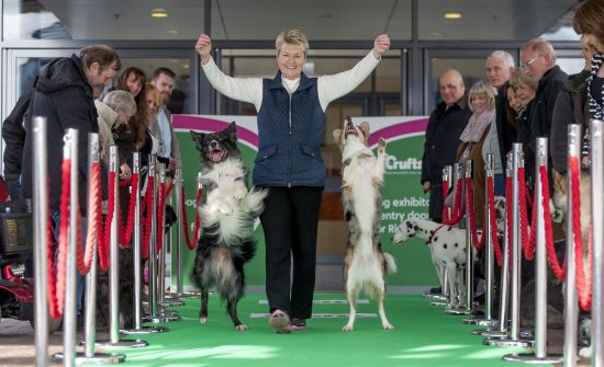 crufts 2015 vip dogs