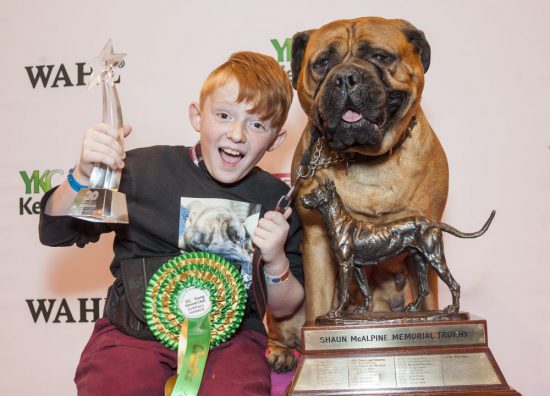 crufts 2015 world's largest dog show