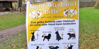 Gelber Hund Gulahund