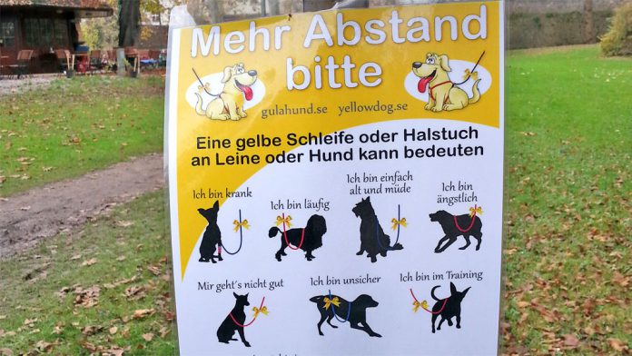 Gelber Hund Gulahund