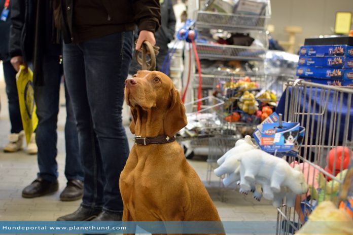 heimtiermesse giessen 016