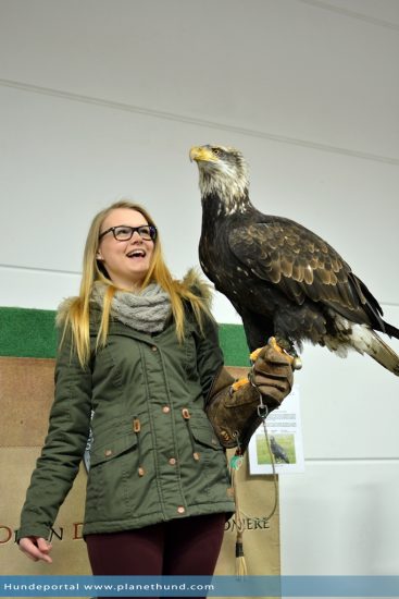 heimtiermesse giessen adler