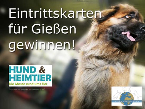Gewinnspiel Hund & Heimtier Gießen gewinnen