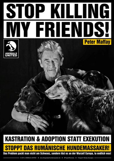 project romania peter maffay