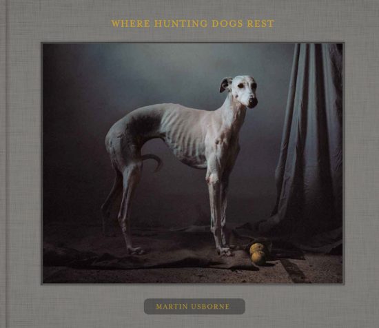 fotobuch hunting dogs