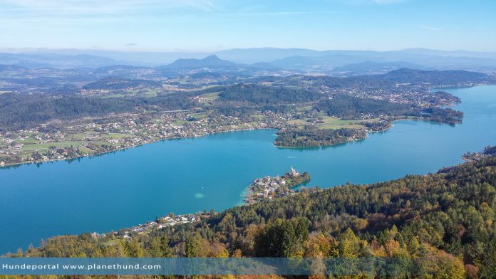 Urlaub Hund See Kärnten