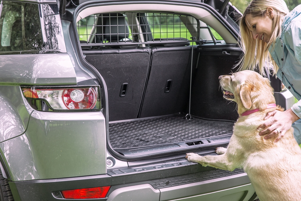 Praxistest: Hundegitter Set für das Auto von Travall