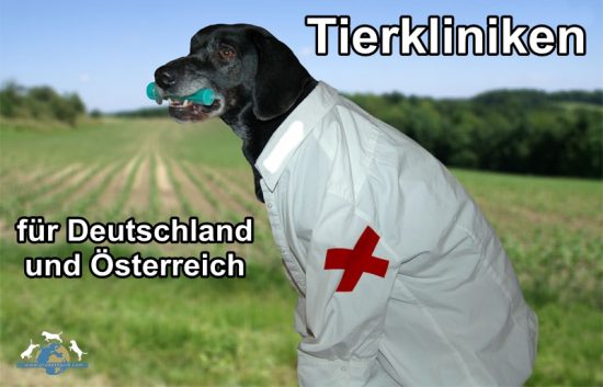 Tierkliniken Deutschland