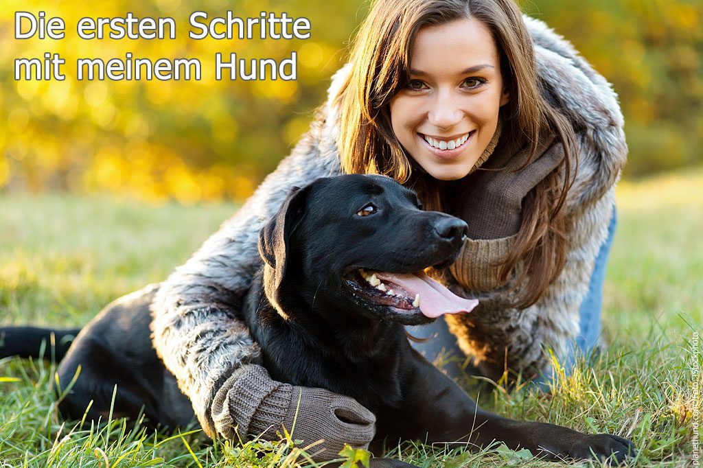 Hunderatgeber Tipps für erste Schritte mit dem eigenen Hund