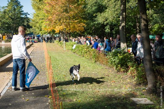 Hundesport Cottbus