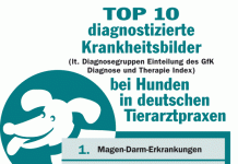 Dagnostizierte Krankheiten bei Hunden