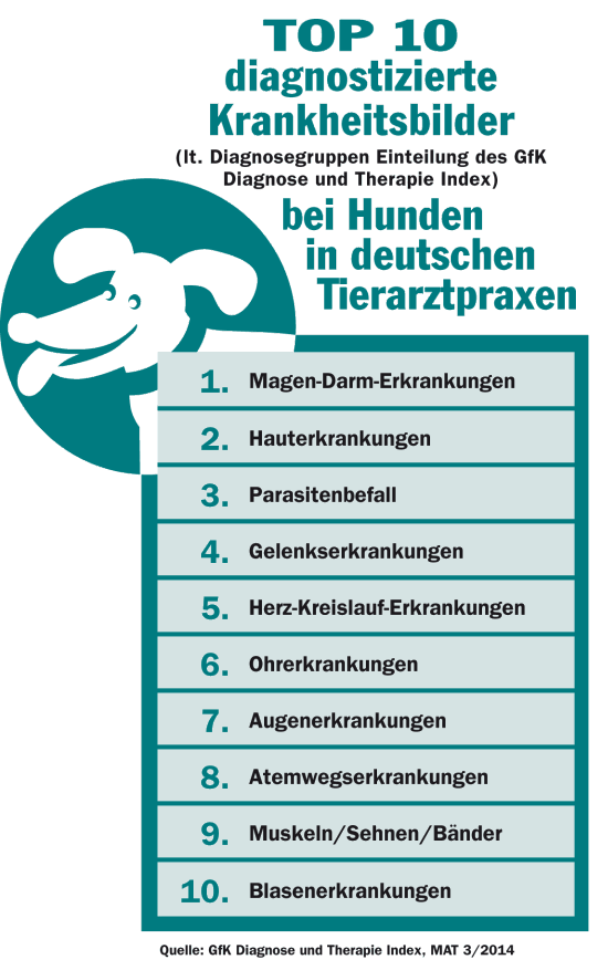 Dagnostizierte Krankheiten bei Hunden