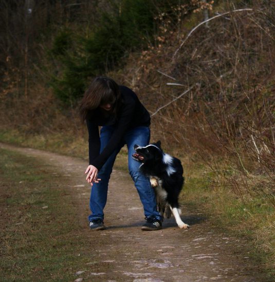 körperliches Spiel Frau Hund