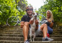 Radfahren mit Hund