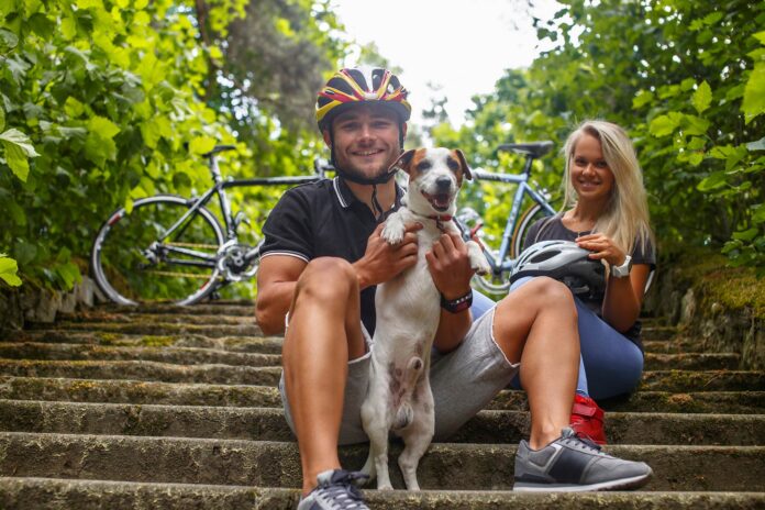 Radfahren mit Hund